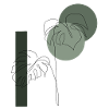 Monstera