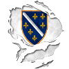 Bosna i Hercegovina Armoiries