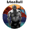 Istanbul Haariger Bär