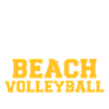beach volleyball