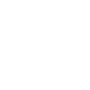 Tribal Turtle