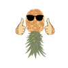 Ananas Cool Drôle