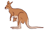 Australie Kangourou Kangourou Koala Backpacker