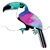 Toucan aquarelle