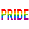 Pride: LGBTQ + flag