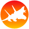 F-14 Tomcat jet fighter
