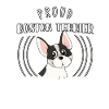 Boston Terriers, Boston Terriers, Boston Terriers