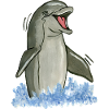 standing dolphin - standing dolphin - Delphin