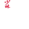 kung fu master