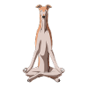 Meditating Greyhound Dog