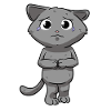 Sad cat