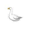 goose