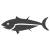 Fish Tuna Icon