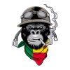 Benin