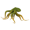 Octopuses, squid, octopus