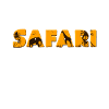 safari