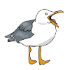 Seagull - Seagull