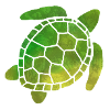 Turtle with floral pattern