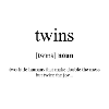 Twins Definition Dictionary