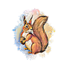 squirrel