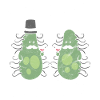 Bactéries cultivées avec chapeau