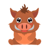 wild boar