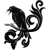 Raven