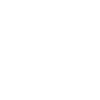 Japanese white dragon