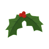 Holly - Holly et baies