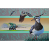 lapwing