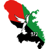 Martinique colibri vert noir rouge
