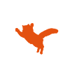 cat silhouette wild cat