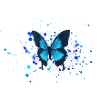 Blue sky moth butterfly