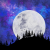Moon dream