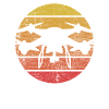 Drone rétro