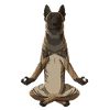 Meditating Dutch Shepherd Dog