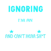 I'm An Aircraft Mechanic