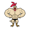 Bodybuilding rooster defined muscles