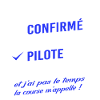 Pilote de rallye