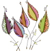 Feuilles