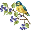 Bunter Vogel