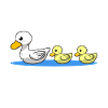 Duck family
