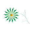 fleur verte