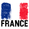 Brushstroke French Flag