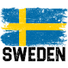 Swedish Brush Flag