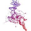 Deer with compass