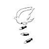 bird of peace