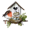 Birdhouse with robin