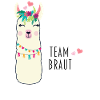 Team Bride Llama Alpaca Alpaca