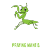 Praying Mantis Costume